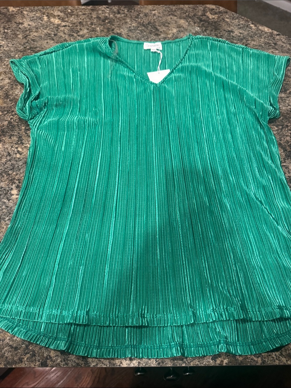 ANDREE BY UNIT Emerald Green Pleated V-Neck Blouse